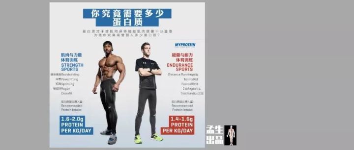 蛋白粉吃了什么效果,蛋白粉与蛋白质粉功效一样吗