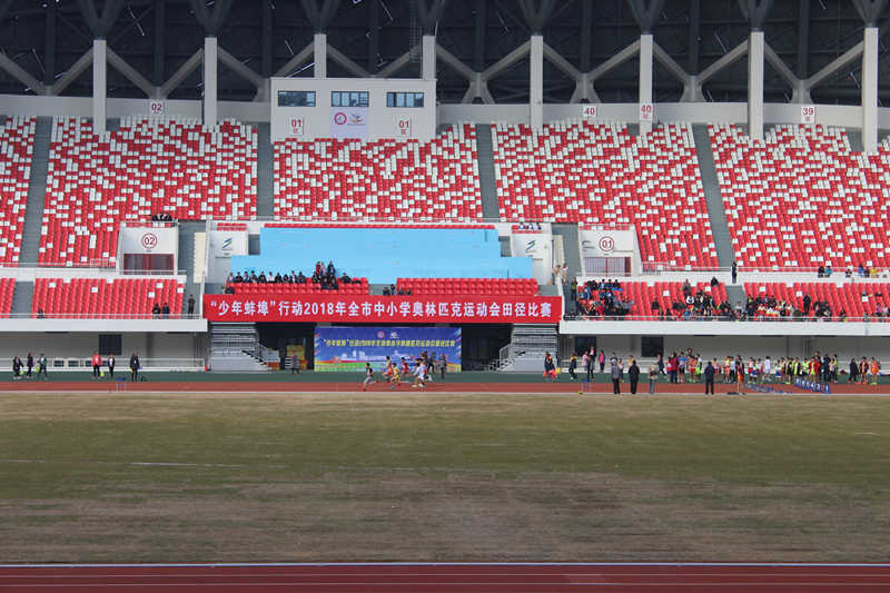 曹老集中学凌雅菊喜获市田径运动会铁饼冠军