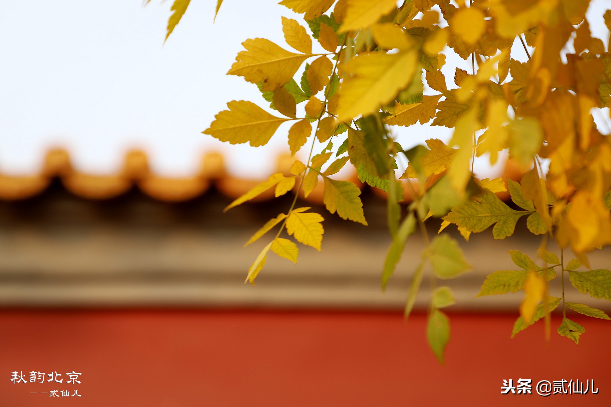 老北京东来顺总店,北京最老的东来顺