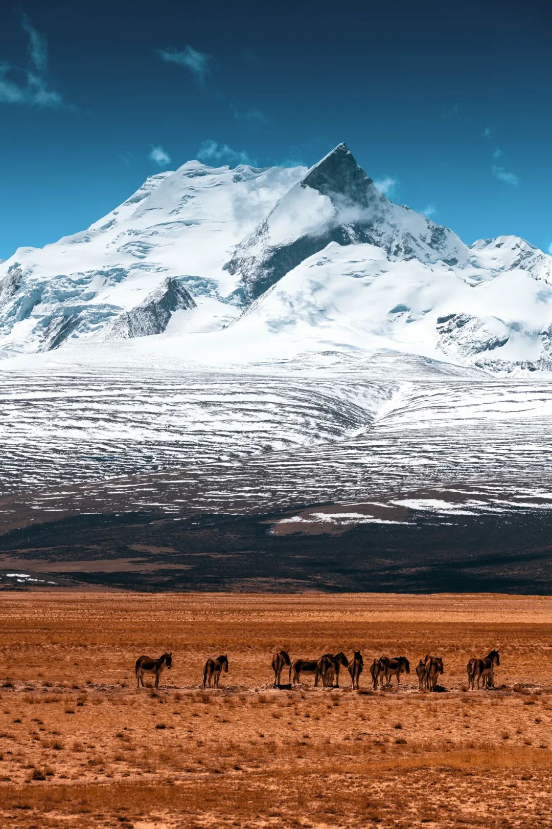 张张航拍,数百位摄影人拍的中国大好河山