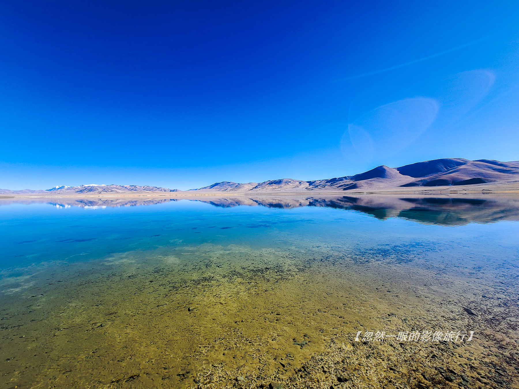 阿里无人区野狼出没,阿里无人区狐狸