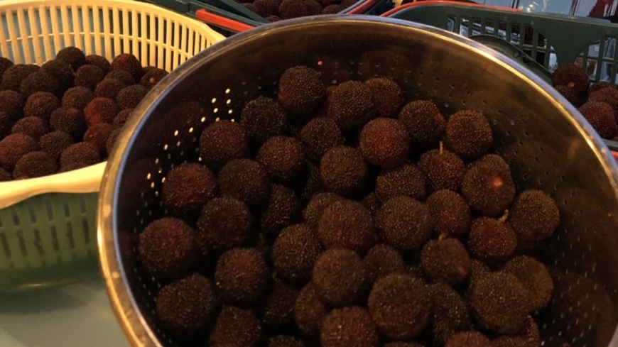 杨梅的清洗正确方法,杨梅正确清洗方法