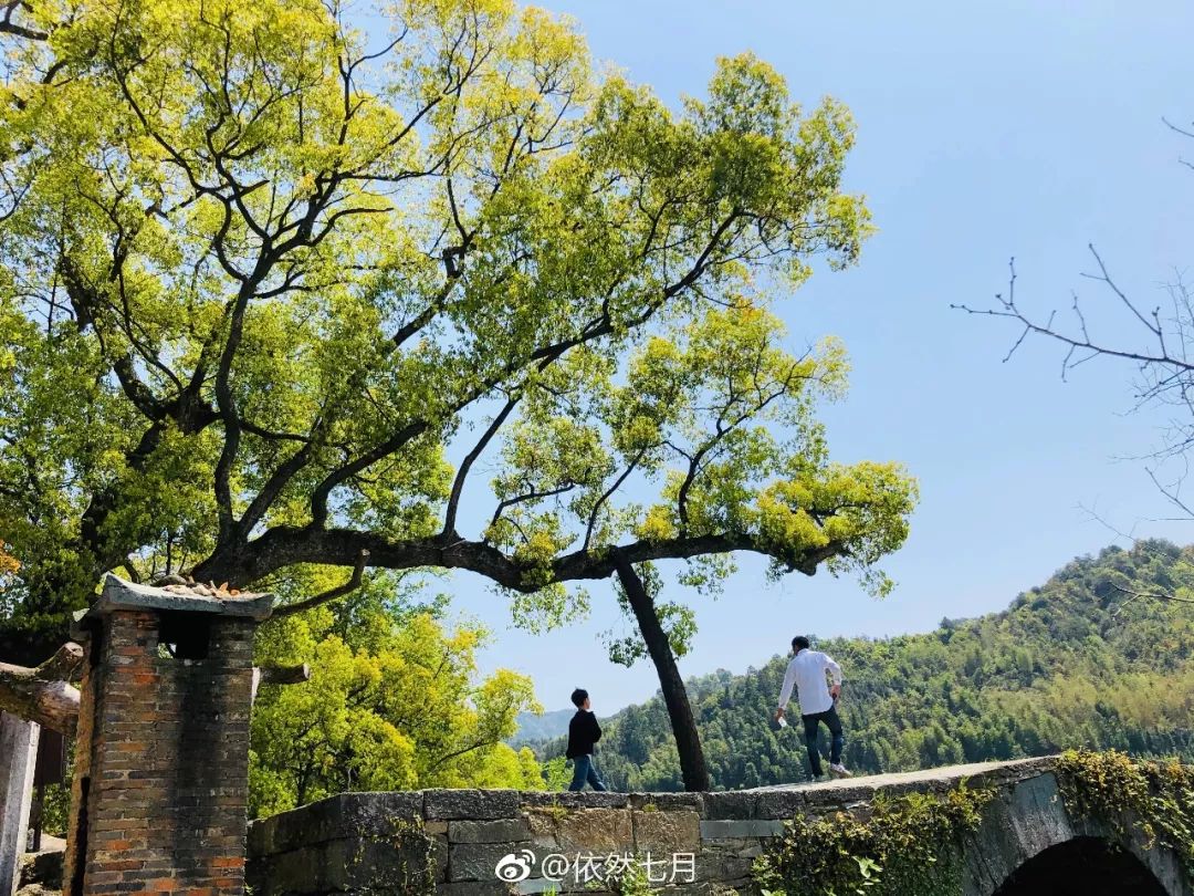 婺源清华朴园,婺源旅游攻略2日游民宿