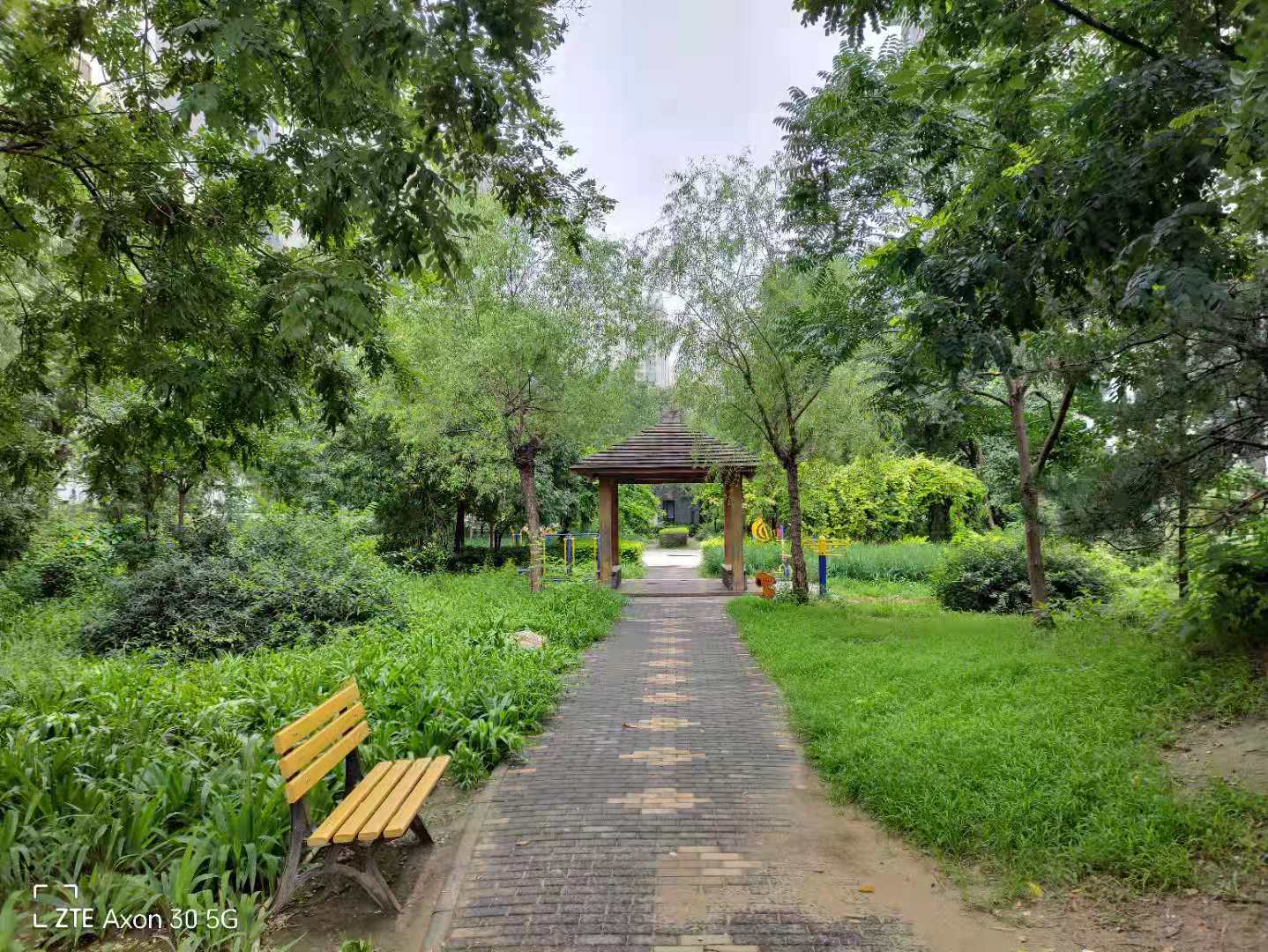 中兴axon305g评测,中兴axon305g屏下版值得买吗