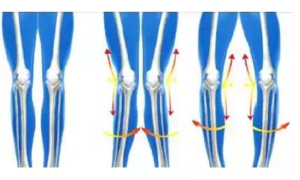 康复界名言,康复就是治愈疾病这个说法正确吗