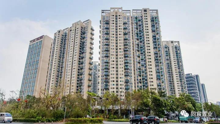 深圳湾三湘海尚208平毛坯,深圳湾三湘海尚和红树西岸