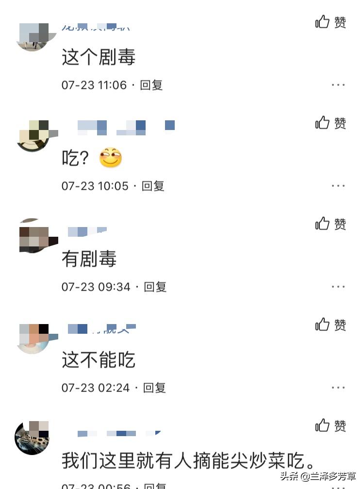 遇到不认识的植物怎么办,遇到不认识的物种你会怎么做