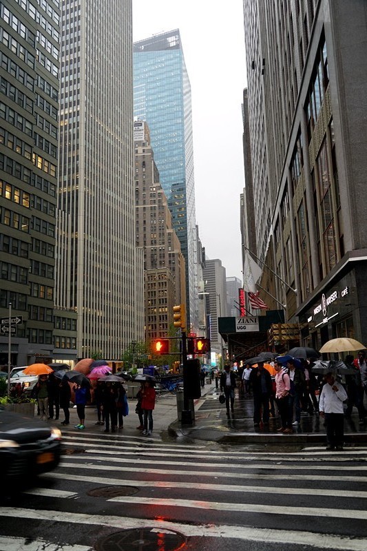 美国华盛顿旅游详细攻略,纽约华盛顿自由行旅游攻略最新