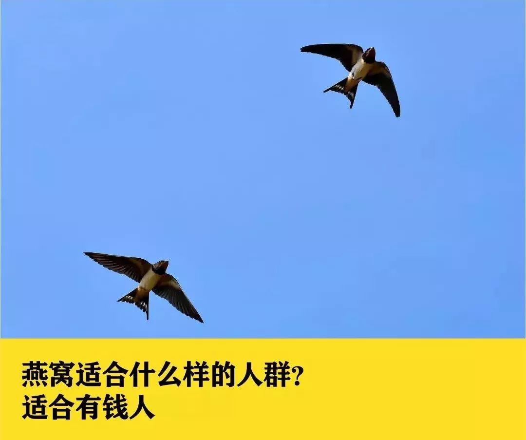 被吹上天的燕窝，根本没啥用