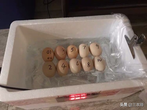 农村现在挣钱的门路有哪些,农村赚钱三个门路