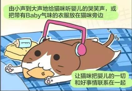 妈妈不舍宠物猫，婴儿肺里竟有猫毛?宠物与宝宝如何兼得?