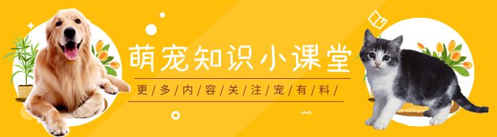流泪导致失明,流泪畏光视力模糊要用什么眼药水