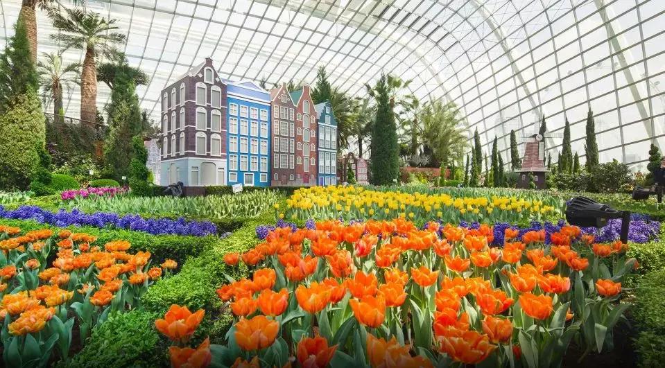 gucci最新活动成都,gucci活动直播名单