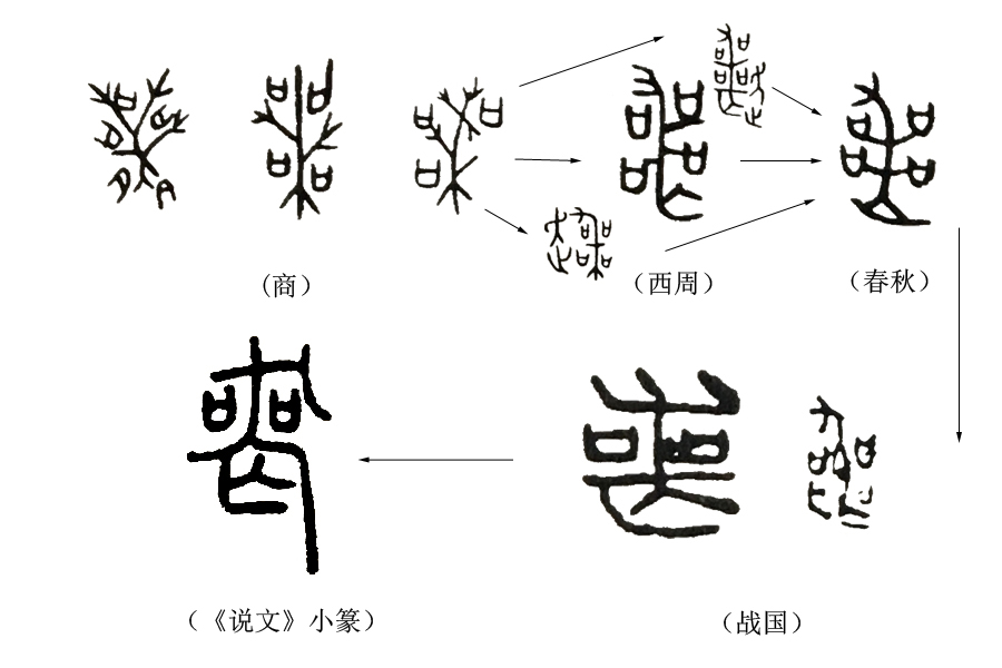 说文解字第41课,说文解字第190课