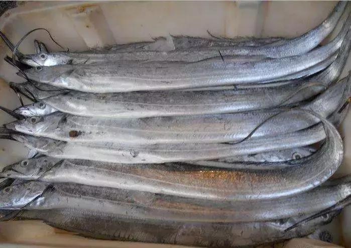 速抢团购,速抢优惠一口价