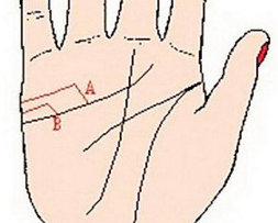 手相算命感情线分叉很多,从手相婚姻线看一个人的婚恋吉凶