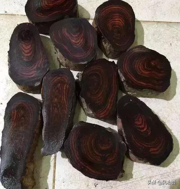 穿越千年的枫香,穿越千年古树