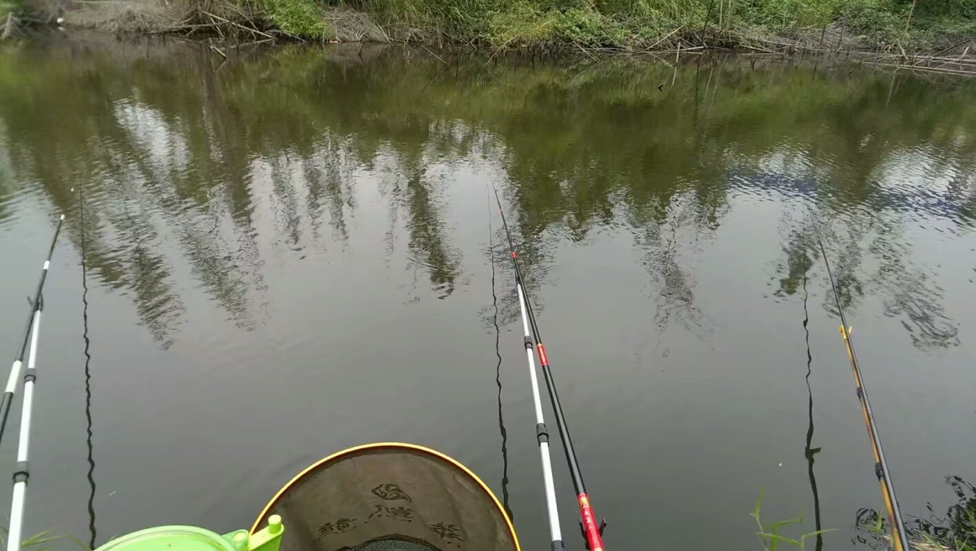 黑鱼只能钓一条,黑鱼只能用雷蛙钓么
