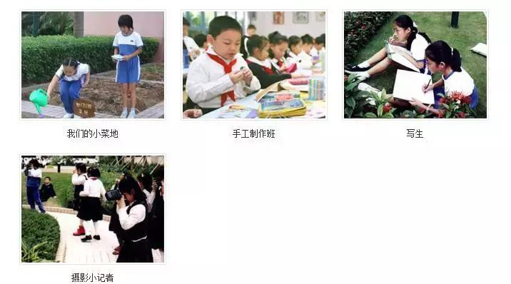 非富即贵深圳,非富即贵的高中学校