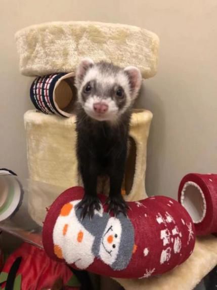 新房装修30个避坑的指南,装修房子从头到尾避坑指南