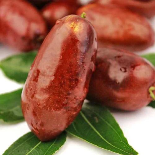 宁夏十大特产带货,宁夏十大特产美食