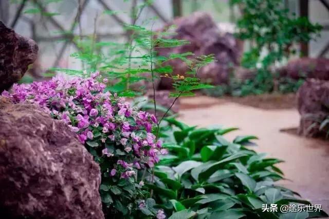 苏州周边自驾游最佳景点,苏州火车站周边景点一日游