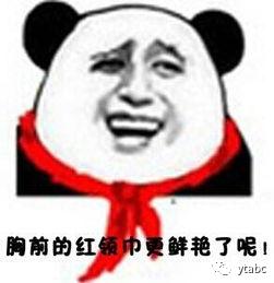 「天了噜」海外的电商卖家都这么戏精的么