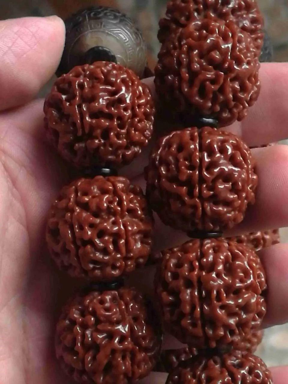 金刚菩提和落地红对比图,盘了两年的金刚值多少钱