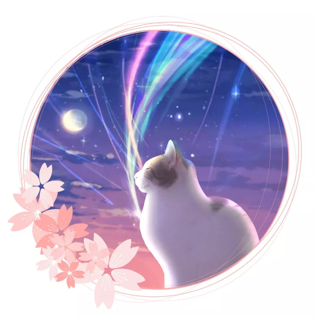 omg这也太厉害了吧,omg真有这么好的事吗