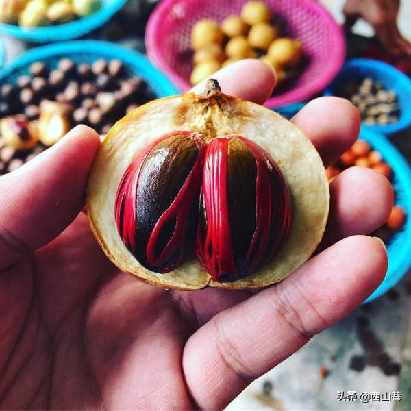 马来西亚槟城水果特产有哪些,槟城特产油条