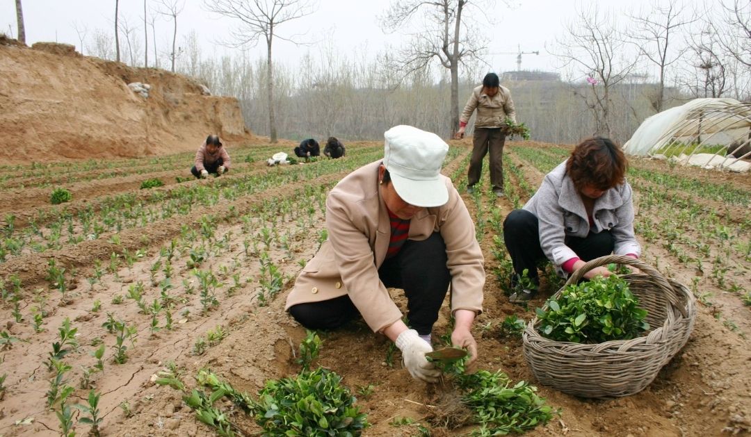 父母如何放弃陪伴孩子外出打工,父母打工不能陪伴孩子的无奈