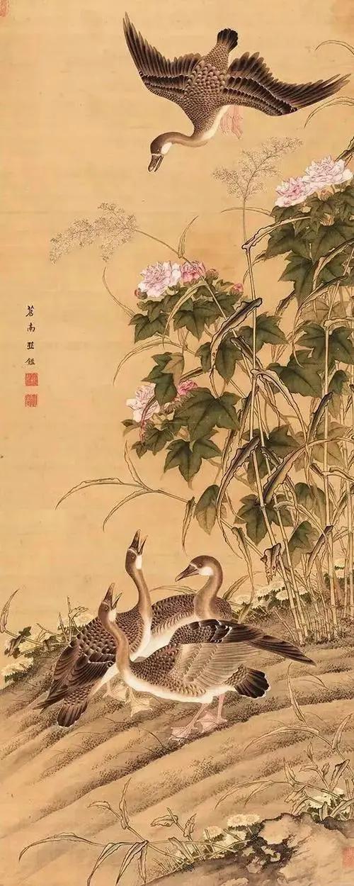 霜降橙红桔绿,霜降时节枫叶红