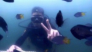 外伶仃岛一天的攻略,外伶仃岛适合玩一天还是两天