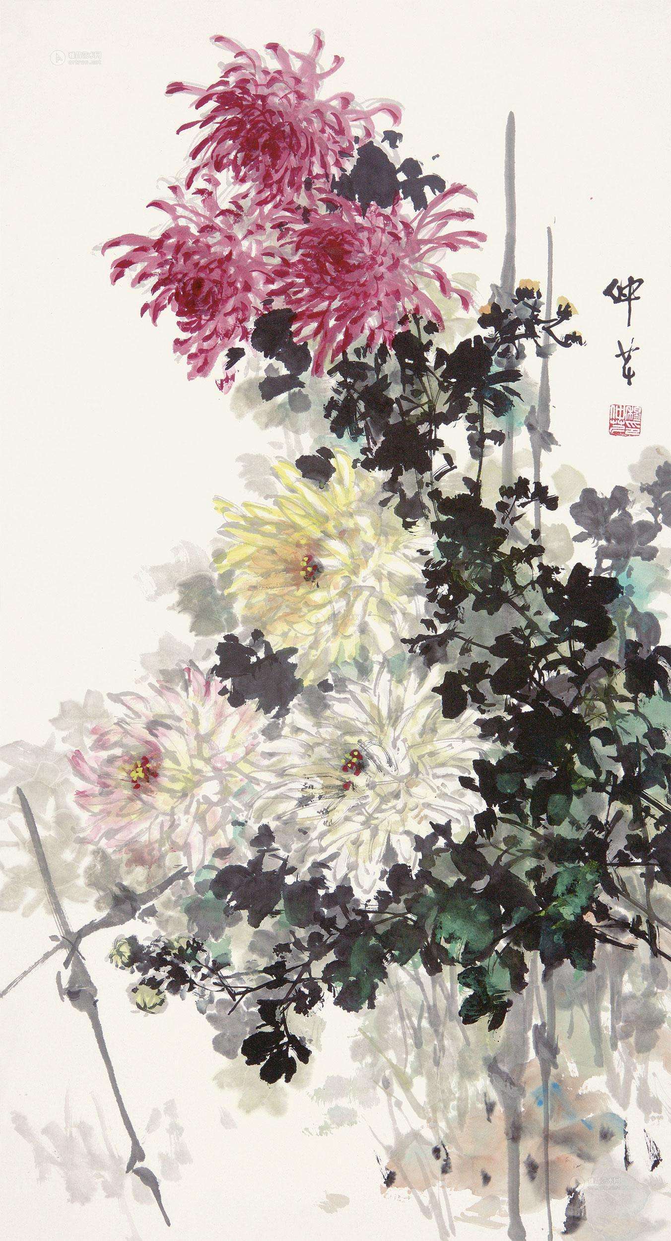 菊花的品格和精神,菊花的美丽什么意思