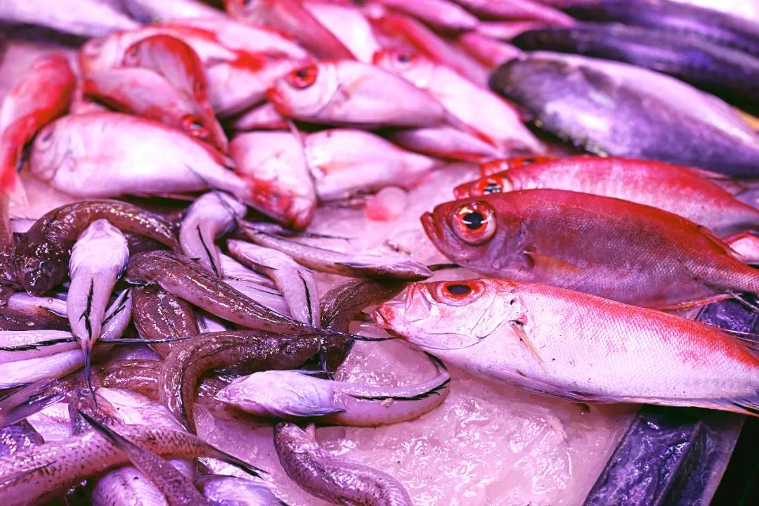 广东适合养老的滨海小镇,广东十个旅居养老圣地