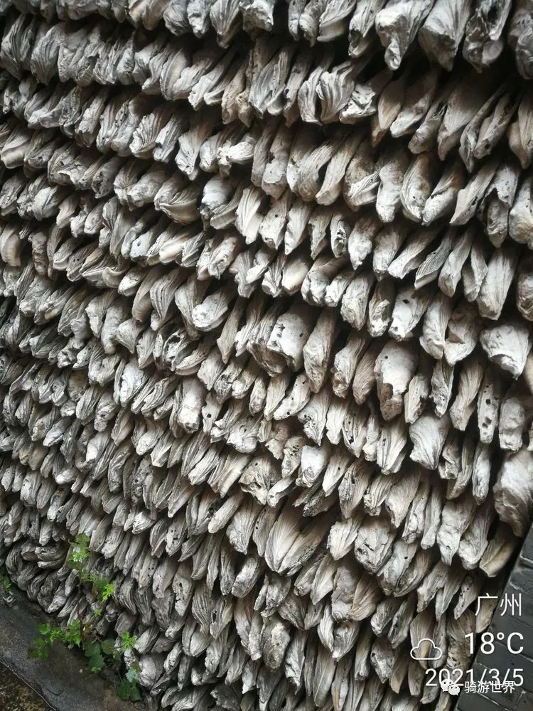 沙湾古镇和岭南印象园哪个好玩,宝墨园岭南印象园与沙湾古镇