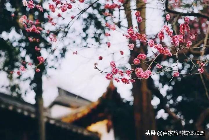 中国各城市的别称大全,中国各大城市的别称