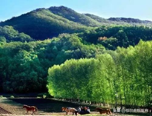 牛！原来内蒙古有这么多第一