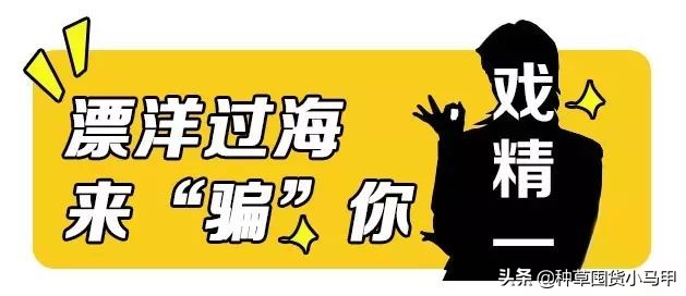 一招教你识别假代购,美国直邮代购是真是假