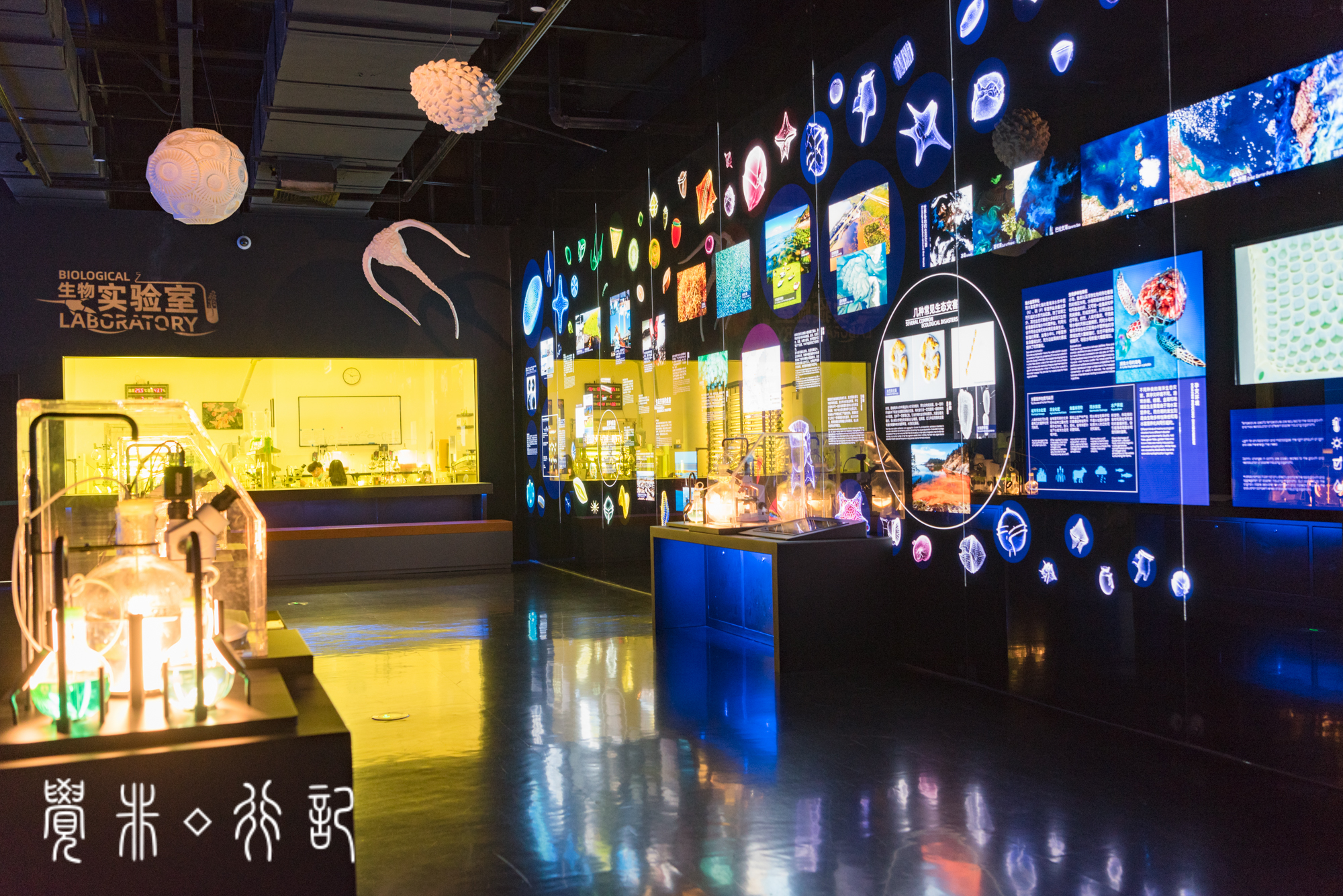 国家海洋博物馆又被称为海上故宫,天津国家海洋博物馆预约电话