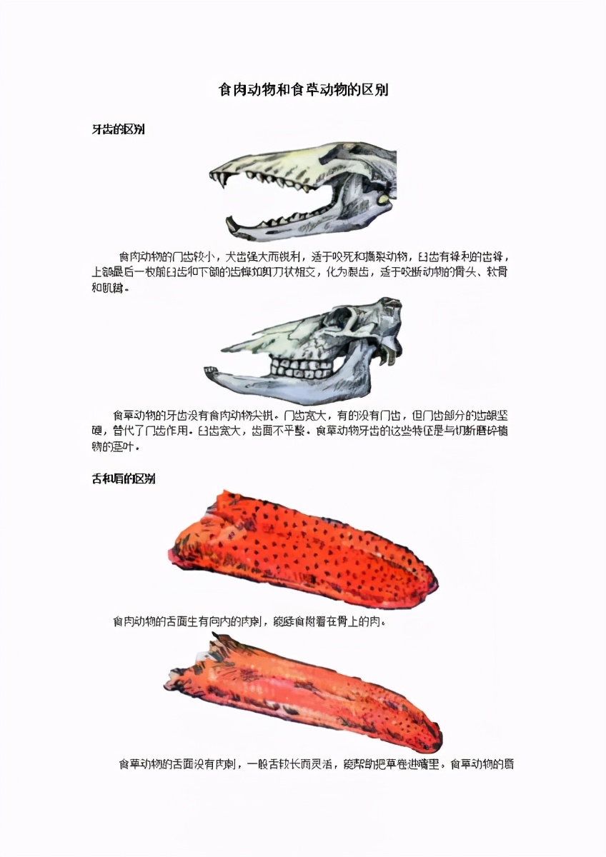 遇到熊如何自救搞笑,遇到熊怎么脱险