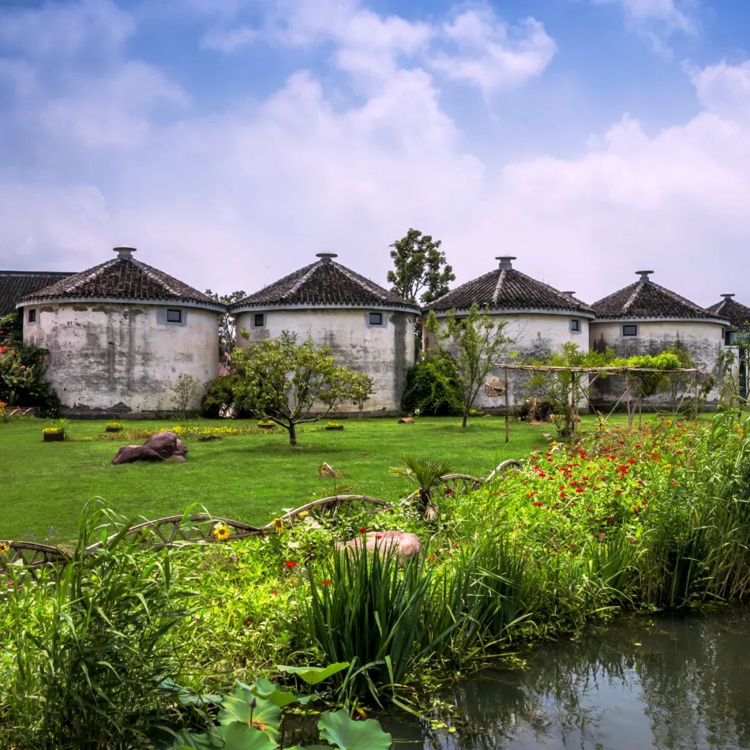 苏州精致生活,苏州人的精致都在一碗面里