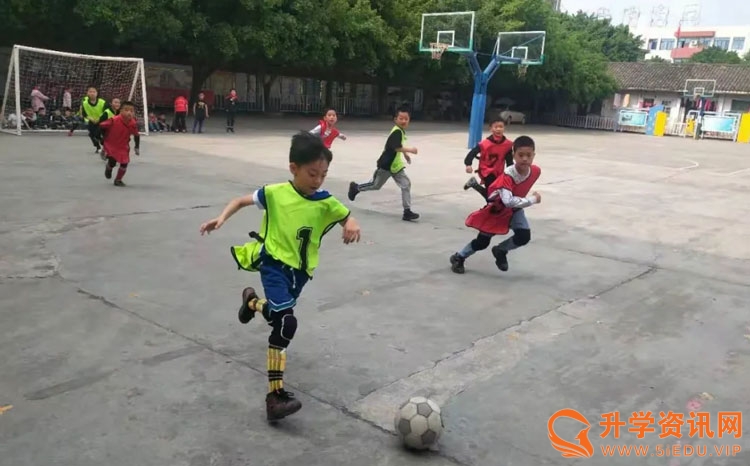 2019成都小学足球比赛,成都东部新区第三届校园足球联赛