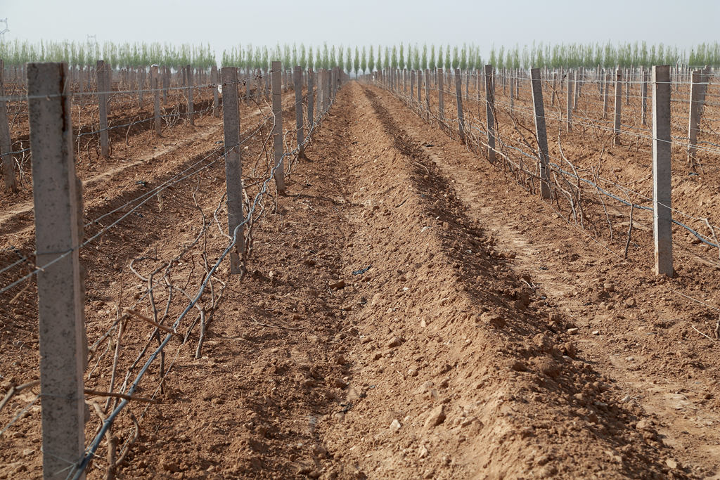 宁夏立兰酒庄价格,宁夏立兰酒庄创始人