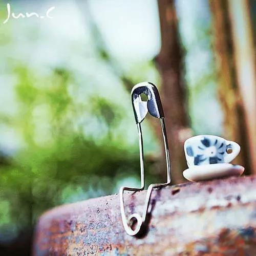 天才却无远见：关于别针的真实故事