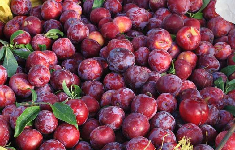 这3种果子夏天一定要多吃啊,夏天必备的10种果子