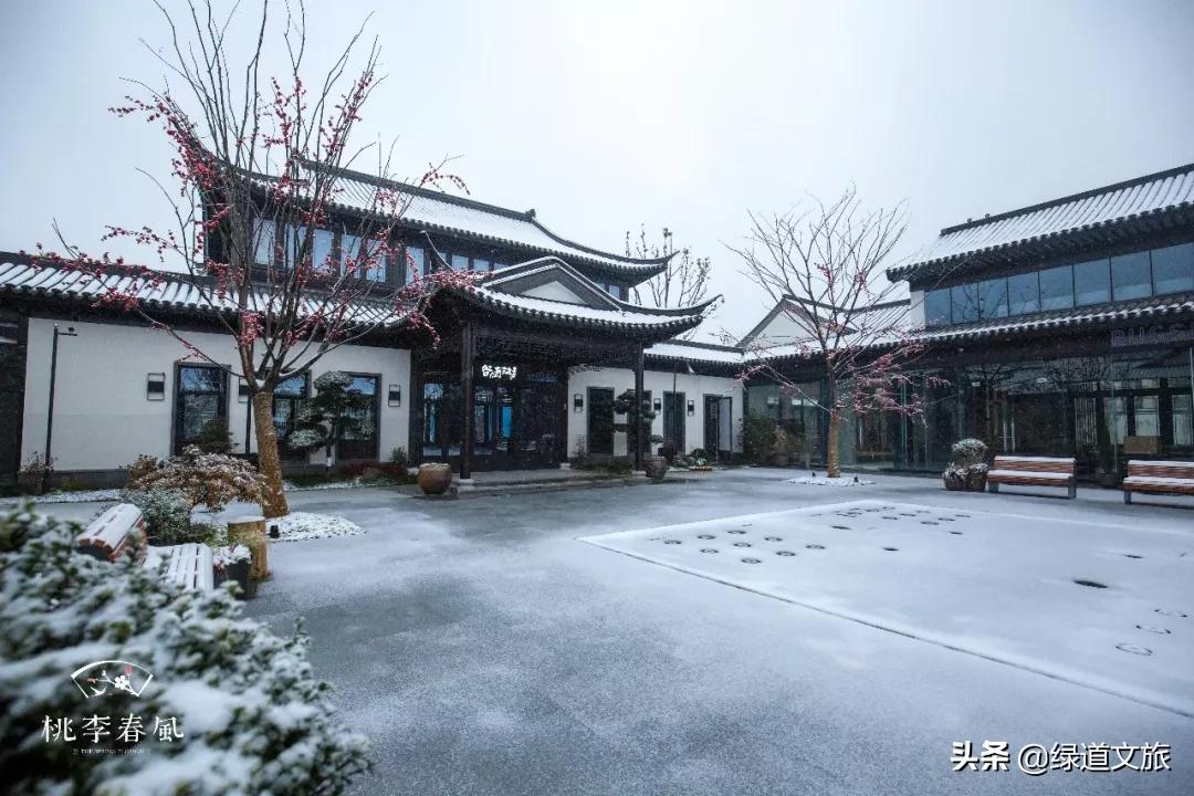 桃李春风小镇,桃李春风小镇发展前景