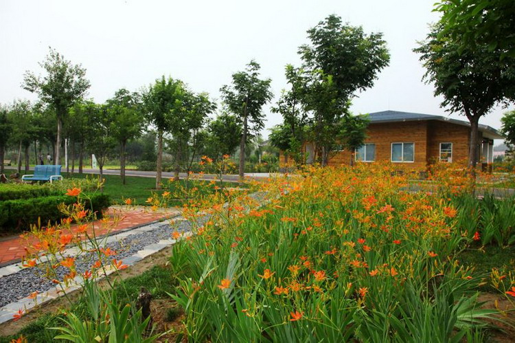 不出郑州旅游攻略,郑州五一游玩公园推荐