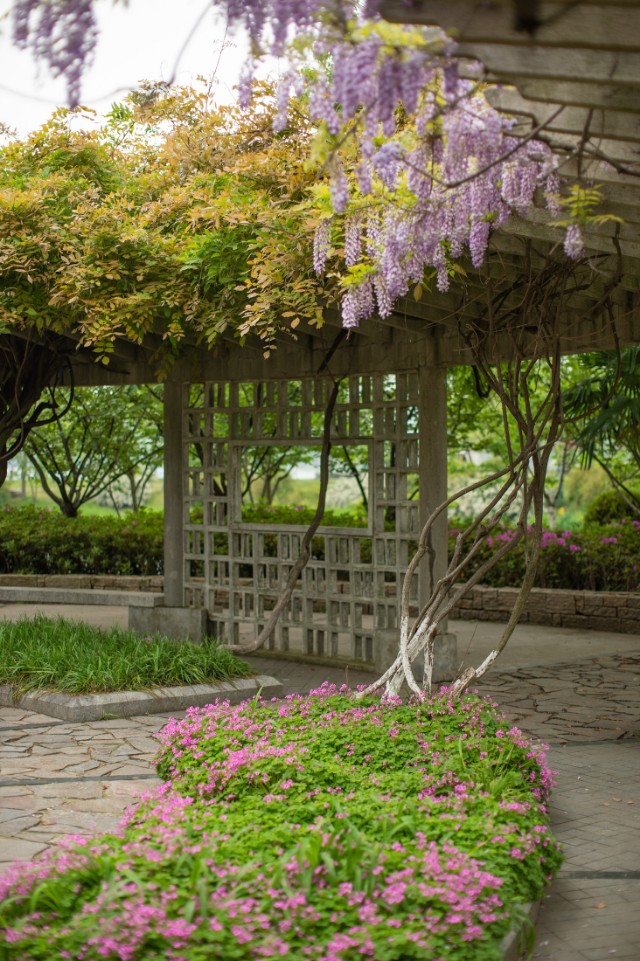 灏煎悍df3000,灏煎悍DF娴嬭瘎