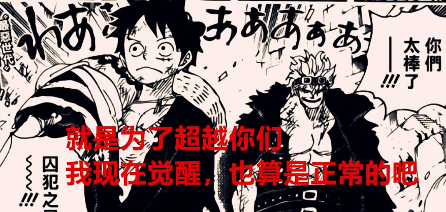 海贼王为什么讨厌和之国篇,海贼王基德有多强